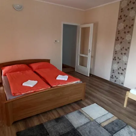 Tulipanos Haz *